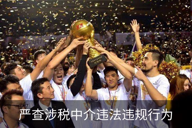 严查涉税中介违法违规行为