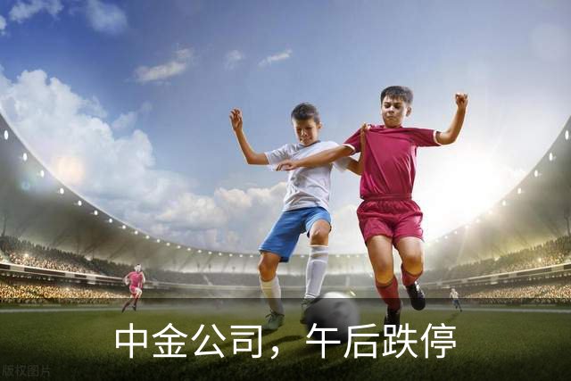 中金公司，午后跌停