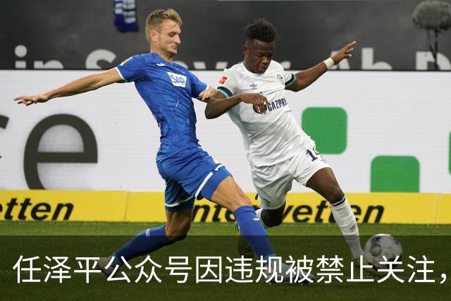 任泽平公众号因违规被禁止关注，客服：账号异常，具体违规原因不清楚