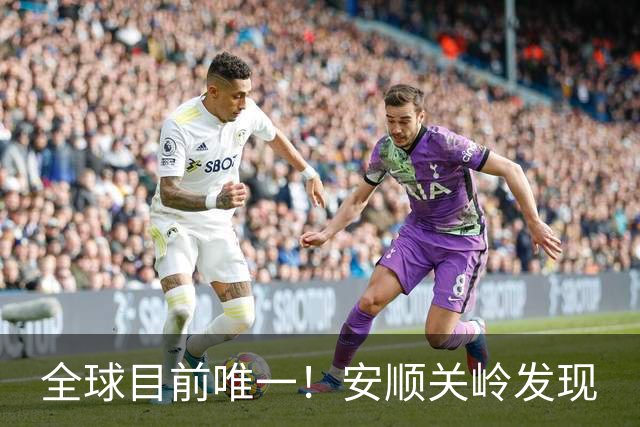全球目前唯一！安顺关岭发现
