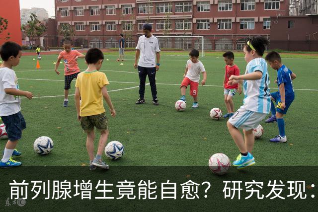 前列腺增生竟能自愈？研究发现：未接受治疗，超40%患者逆转增生