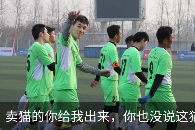卖猫的你给我出来，你也没说这猫能长这么大啊