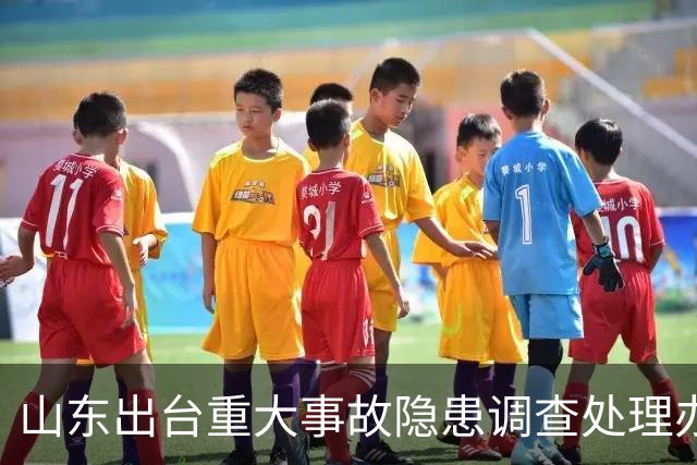 山东出台重大事故隐患调查处理办法