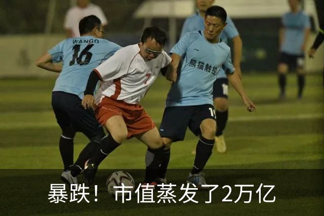 暴跌！市值蒸发了2万亿