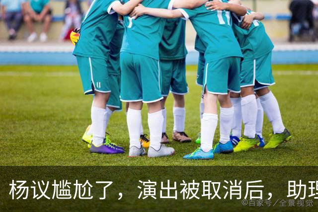 杨议尴尬了，演出被取消后，助理和他撇清关系，无人站在他身边