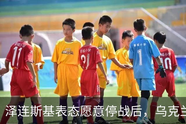 泽连斯基表态愿意停战后，乌克兰外长筹备访华前，召开了中国大使