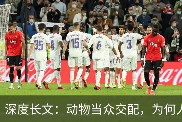 深度长文：动物当众交配，为何人类都躲起来秀恩爱？到底在躲谁？