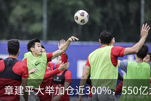 章建平大举加仓近300%，550亿龙头净利暴增26倍