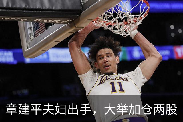 章建平夫妇出手，大举加仓两股