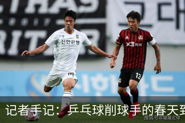记者手记：乒乓球削球手的春天到了吗？