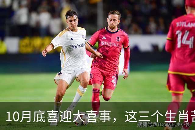 10月底喜迎大喜事，这三个生肖苦尽甘来，马上有钱，财运挡不住